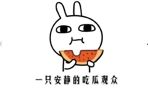 网络用词吃瓜什么意思